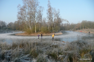 Roowinkel 31-12-2008 058