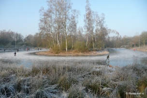 Roowinkel 31-12-2008 059